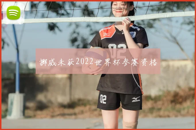 挪威未获2022世界杯参赛资格