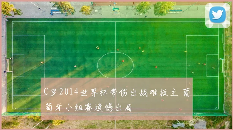 C罗2014世界杯带伤出战难救主 葡萄牙小组赛遗憾出局