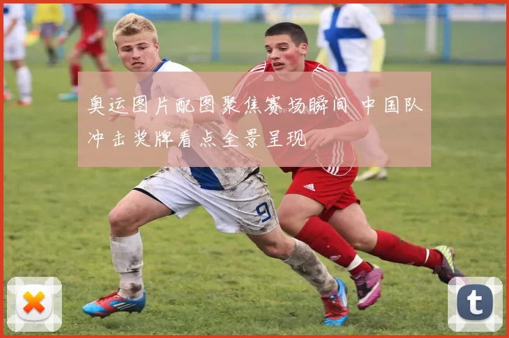 奥运图片配图聚焦赛场瞬间 中国队冲击奖牌看点全景呈现