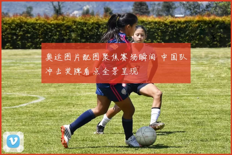 奥运图片配图聚焦赛场瞬间 中国队冲击奖牌看点全景呈现